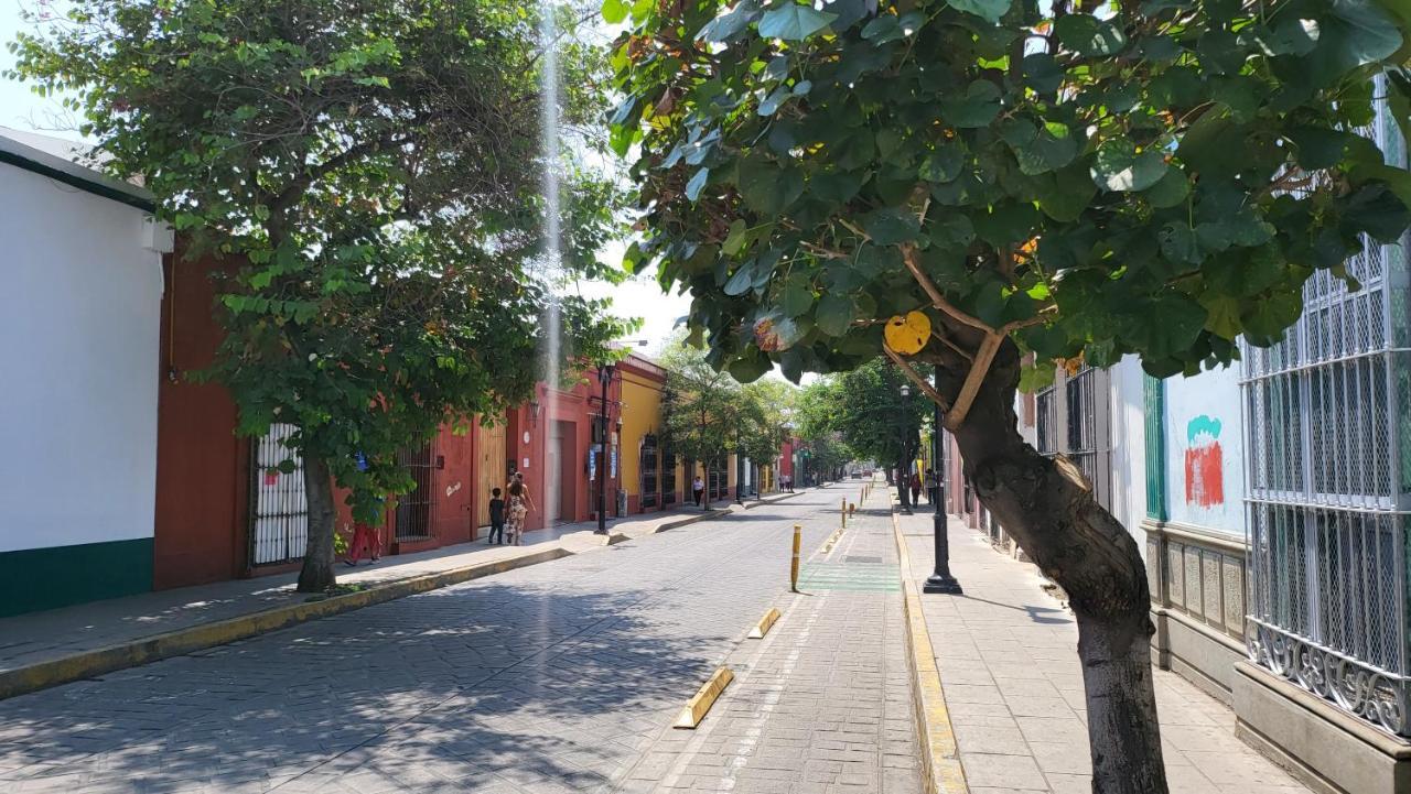 Apartmán Oaxaca Departments Independencia Exteriér fotografie